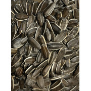 Слънчоглед за Папагали, 1,25 кг. - Benelux Striped Sunflowerseeds Слънчоглед за Папагали, 1,25 кг. - Benelux Striped Sunflowerseeds
